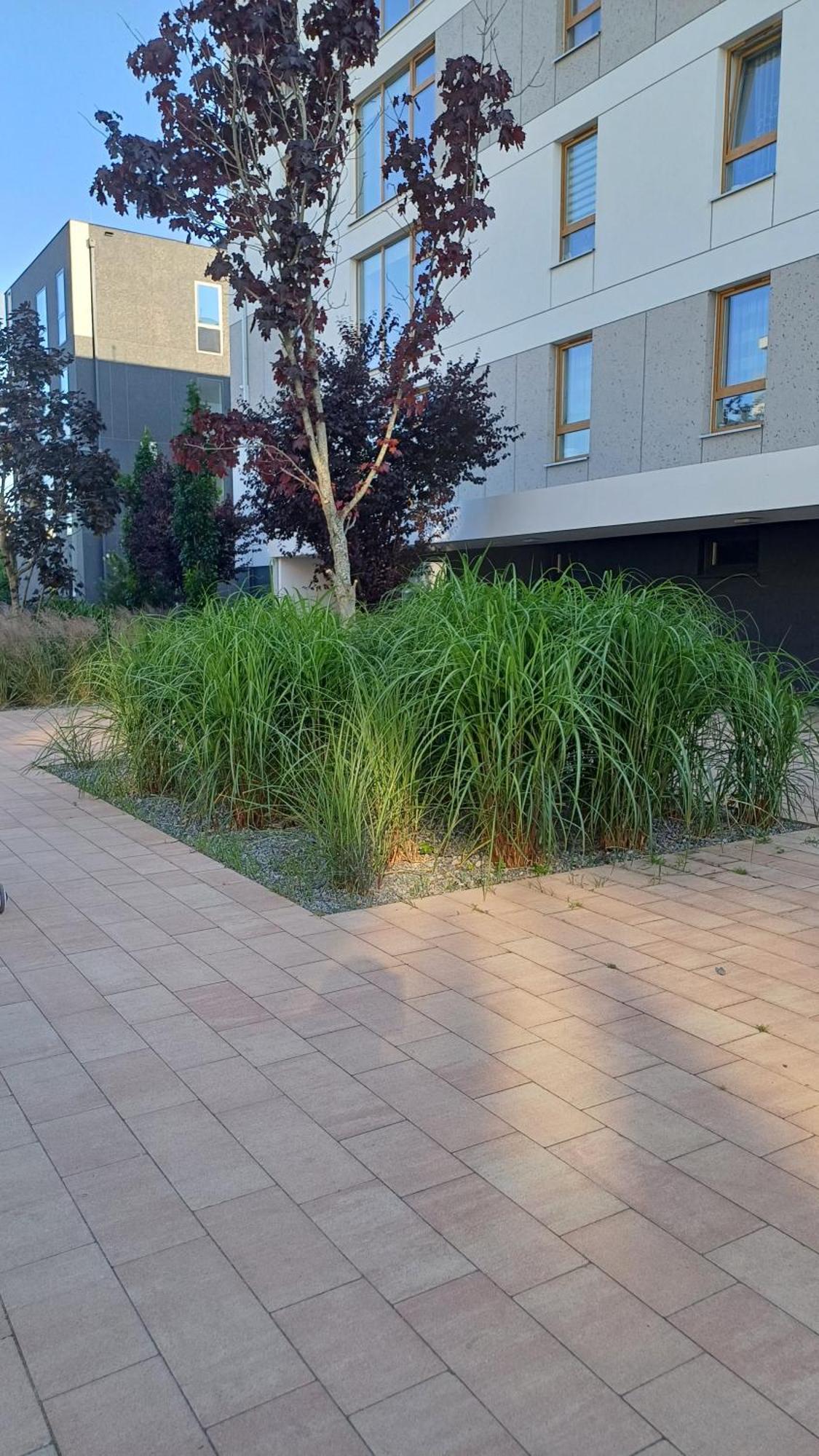 Apartament Davima Aquapark Rumia - Novum Luaran gambar